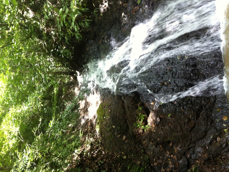 Land For Sale in Playa Guiones Costa Rica